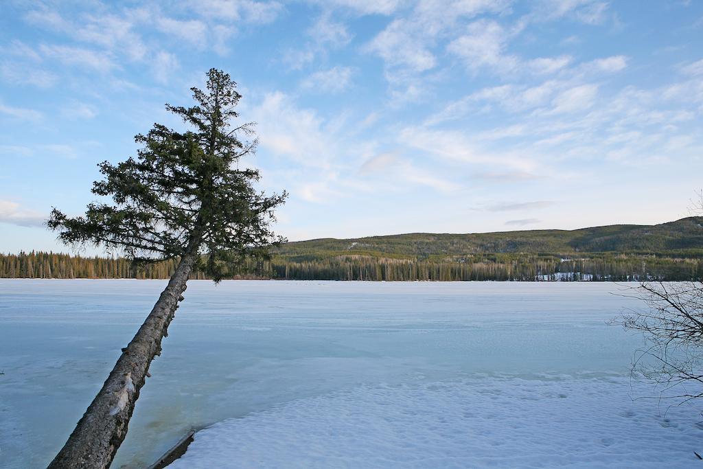 Lac Le Jeune Wilderness Resort Kamloops Luaran gambar